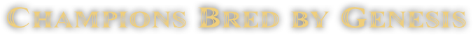  Champions Bred by Genesis