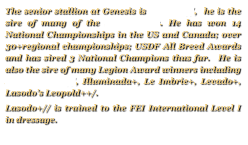 The senior stallion at Genesis is Lasodo+//,  he is the sire of many of the Sale Horses. He has won 14 National Championships in the US and Canada; over 30+regional championships; USDF All Breed Awards and has sired 3 National Champions thus far.  He is also the sire of many Legion Award winners including Illusion GA++//, Illuminada+, Le Imbrie+, Levado+, Lasodo’s Leopold++/.
Lasodo+// is trained to the FEI International Level I in dressage.
