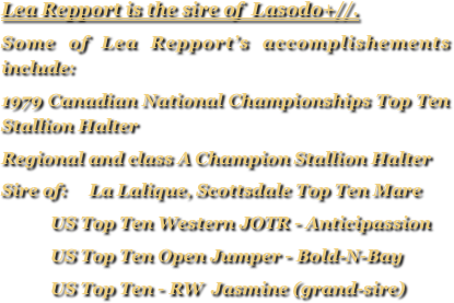 Lea Repport is the sire of  Lasodo+//. 
Some of Lea Repport’s accomplishements include: 
1979 Canadian National Championships Top Ten Stallion Halter
Regional and class A Champion Stallion Halter
Sire of:     La Lalique, Scottsdale Top Ten Mare
           US Top Ten Western JOTR - Anticipassion
           US Top Ten Open Jumper - Bold-N-Bay
           US Top Ten - RW  Jasmine (grand-sire) 