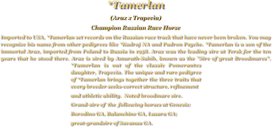 *Tamerlan
(Arax x Trapecia)
Champion Russian Race Horse
Imported to USA, *Tamerlan set records on the Russian race track that have never been broken. You may recognize his name from other pedigrees like *Kadraj NA and Padron Psyche. *Tamerlan is a son of the immortal Arax, imported from Poland to Russia in 1958. Arax was the leading sire at Tersk for the ten years that he stood there. Arax is sired by Amurath-Sahib, known as the "Sire of great Broodmares". *Tamerlan is out of the classic Pomerantes￼daughter, ￼Trapecia. The unique and rare pedigree of *Tamerlan brings together the three traits that every breeder seeks-correct structure, refinement 
and athletic ability.  Noted broodmare sire. 
Grand-sire of  the  following horses at Genesis: 
Borodino GA, Balanchine GA, Lasara GA; 
great-grandsire of Savanaa GA.